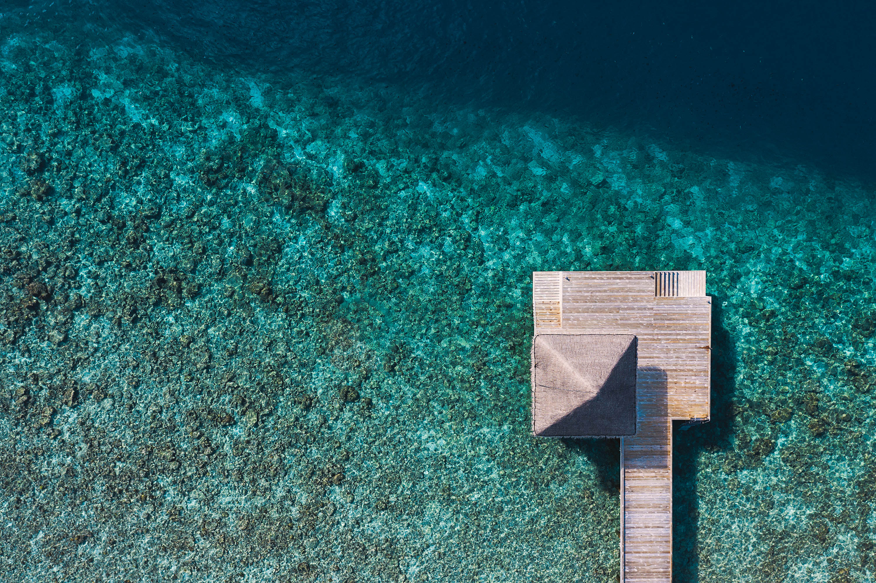 SNORKELLING JETTY